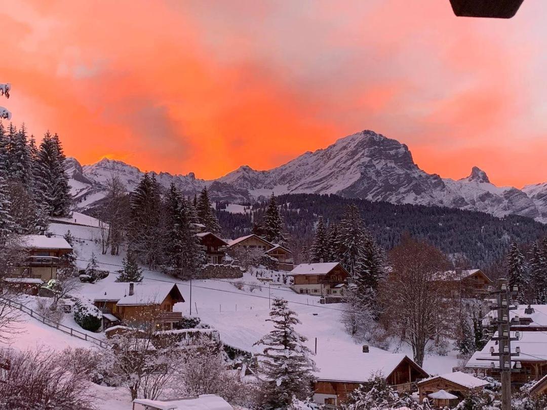 Chalet Le Slalom Arveyes 外观 照片