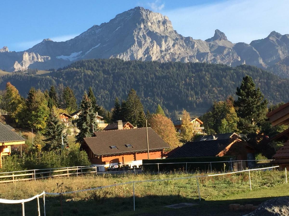 Chalet Le Slalom Arveyes 外观 照片