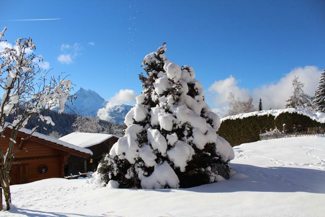 Chalet Le Slalom Arveyes 外观 照片
