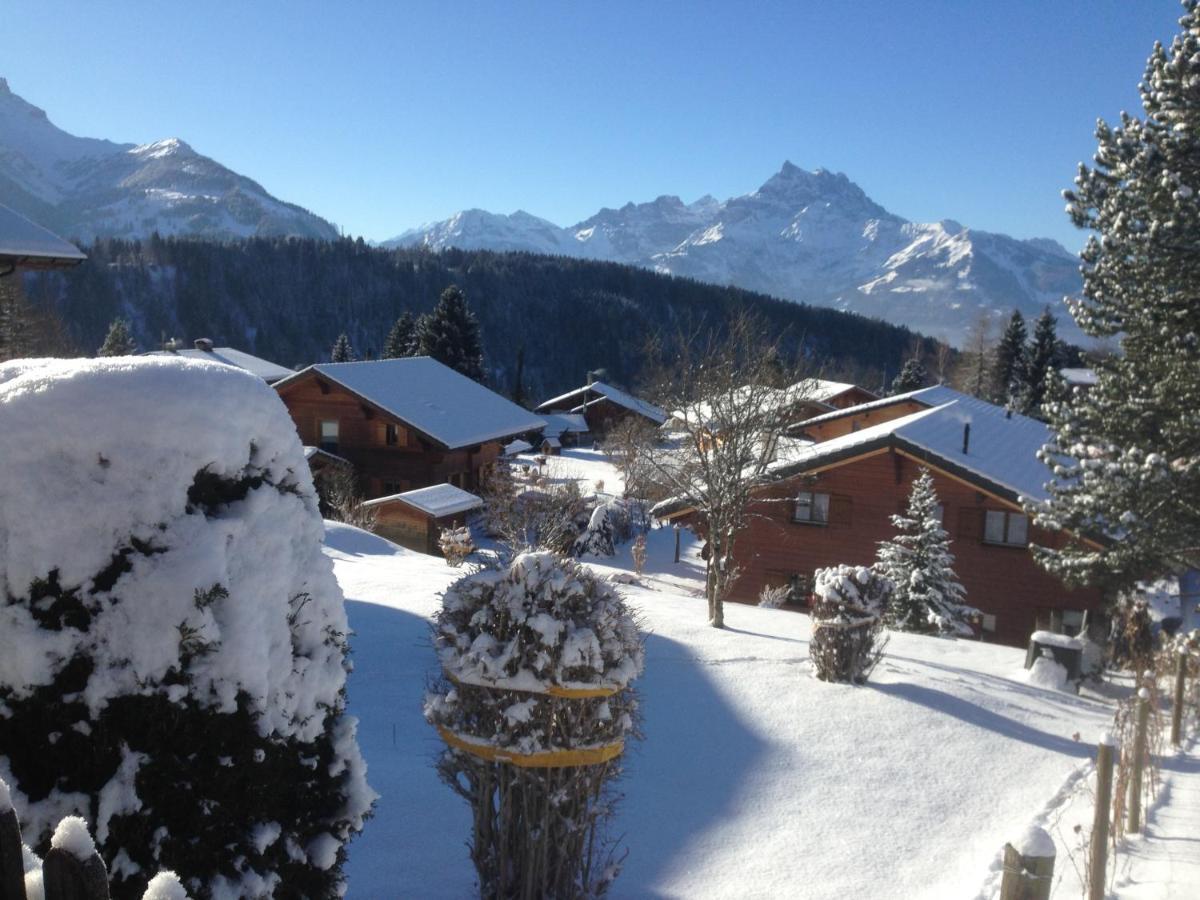 Chalet Le Slalom Arveyes 外观 照片