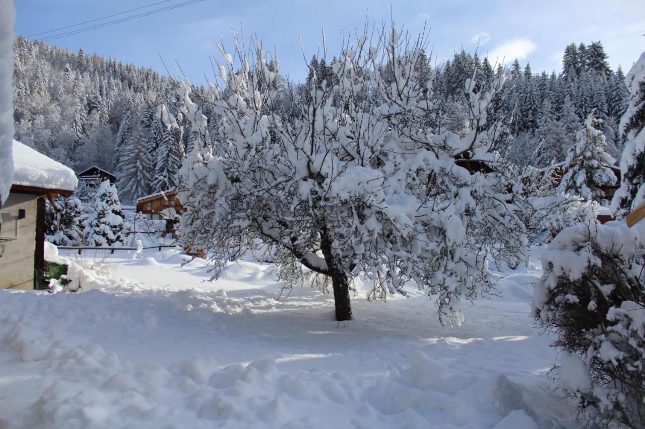 Chalet Le Slalom Arveyes 外观 照片